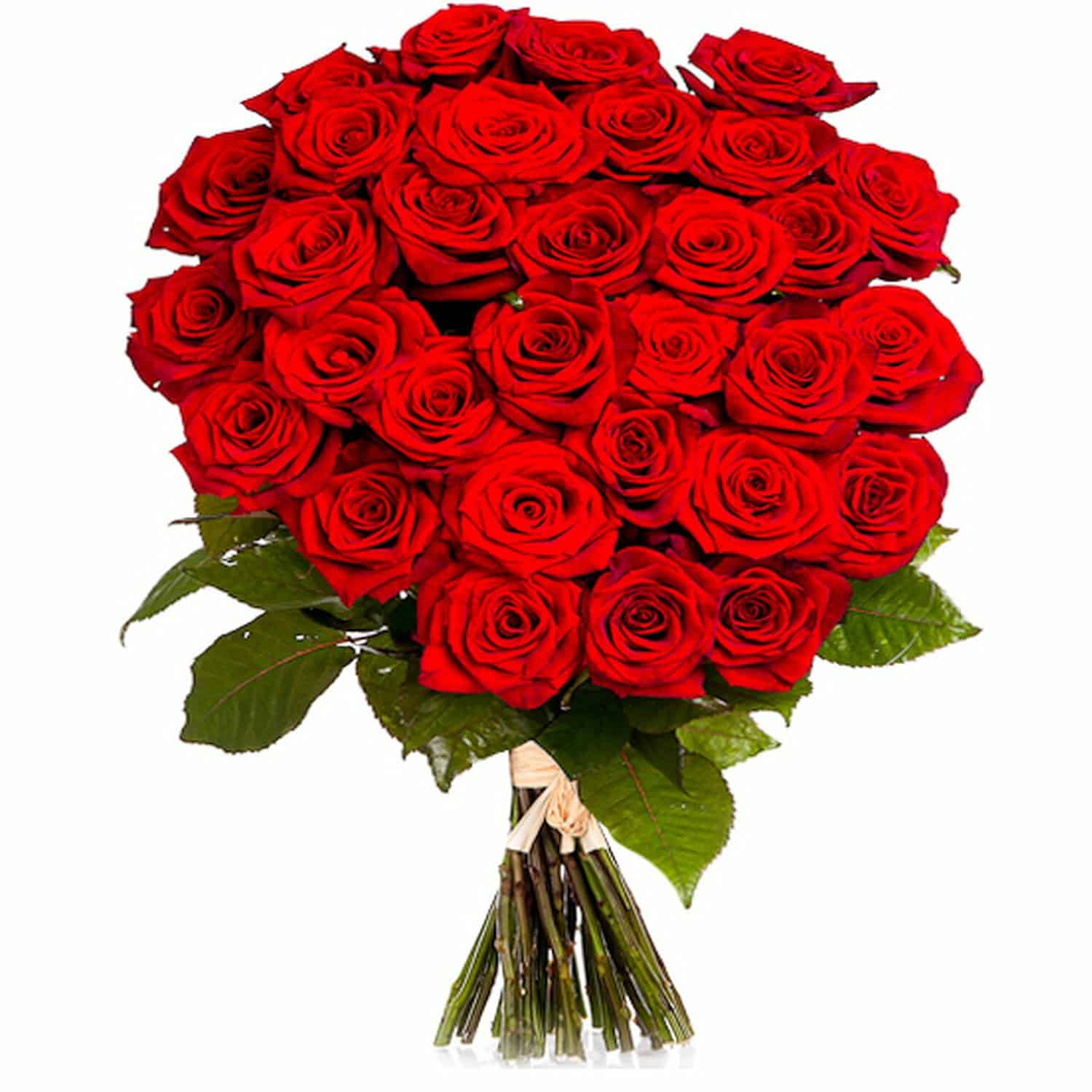 Amour Passionnelle - 25 Roses Rouges - Fleurs Du Maroc
